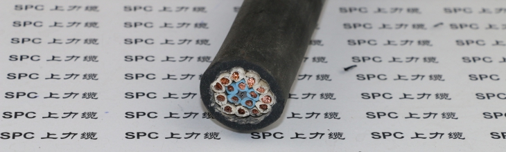 SPCCRANE-RUBBER-CTY1G電動葫蘆控制電纜